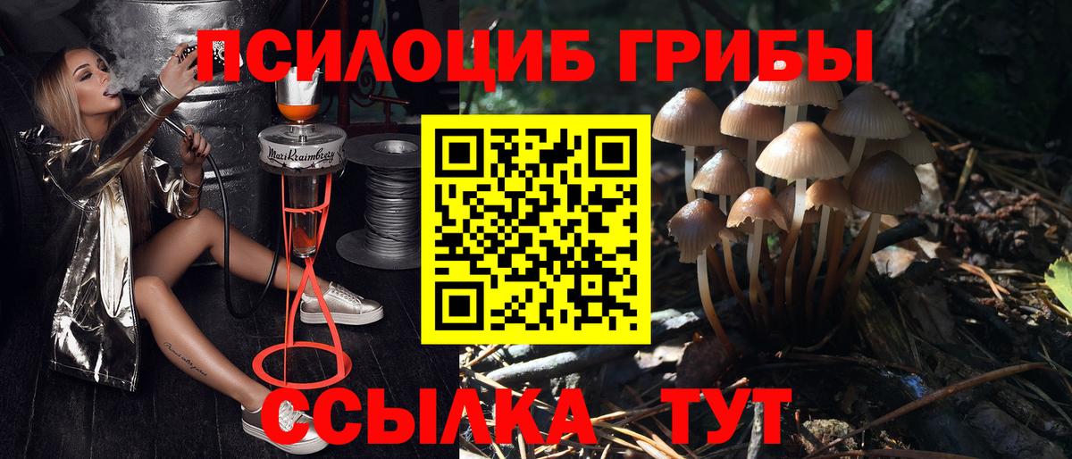 Псилоцибиновые грибы мухоморы Самара